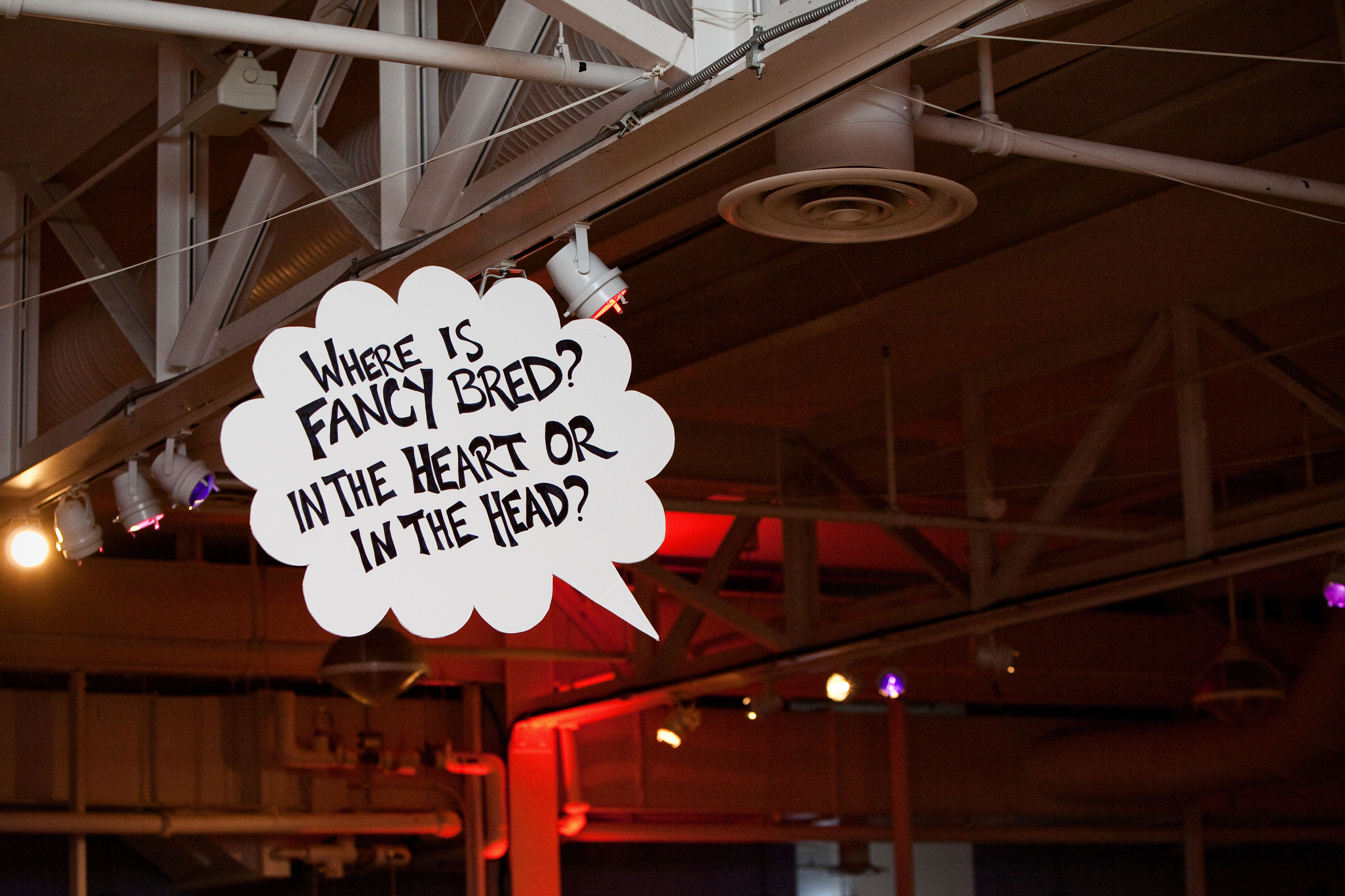 word bubble: where is fancy bred? in the heart or in the head?