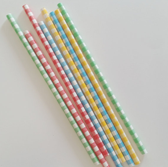 picnic gingham theme party paper straws