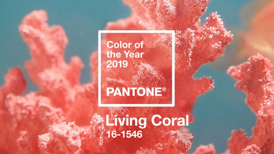Pantone Color of the Year Living Coral #livingcoral