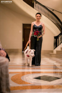 Carnegie Institution of Science Washington DC wedding dog flower collar