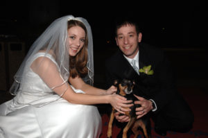 dog at wedding with bride and groom