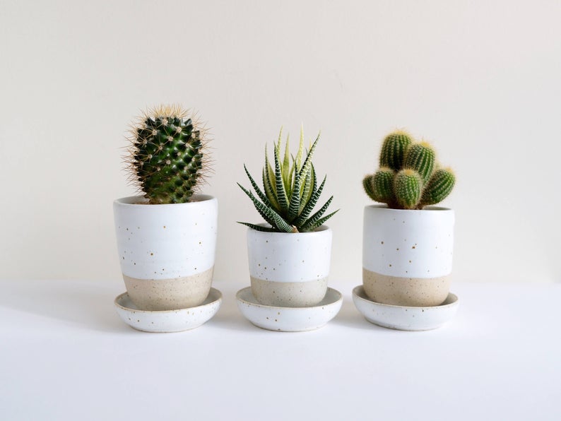gift idea for the home - small ceramic planters
