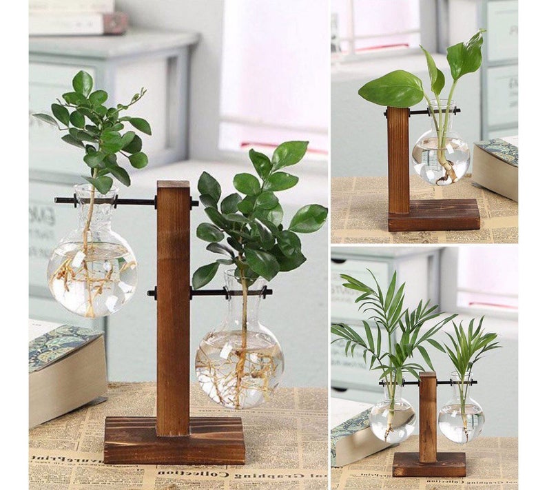 gift idea for the home - floating plant vase propagation