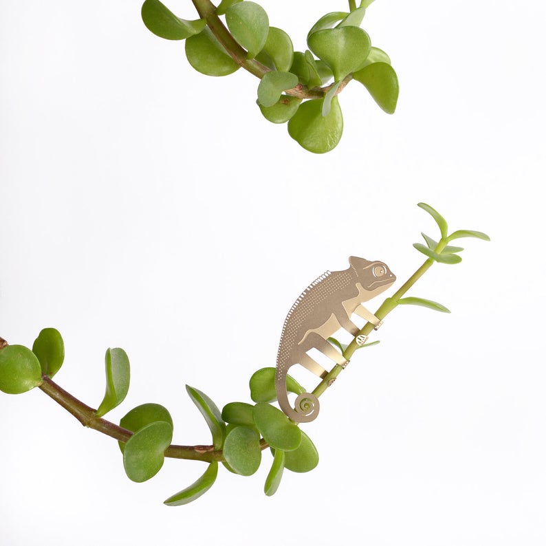 gift idea for the home - mini plant animals