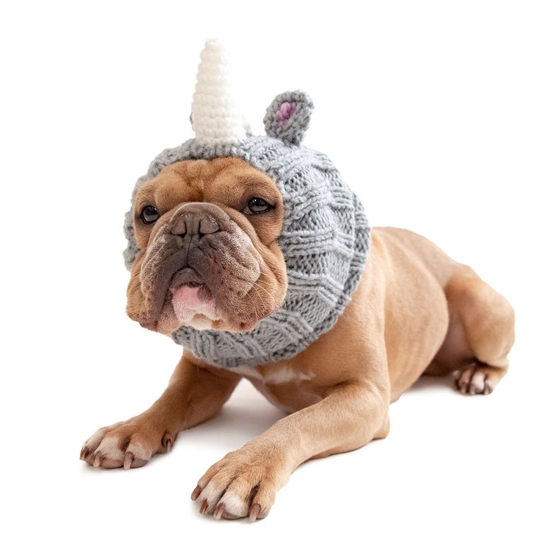 knit hat costume for dogs - Halloween 