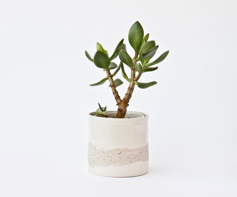 gifts for plant parents - white ceramic pot