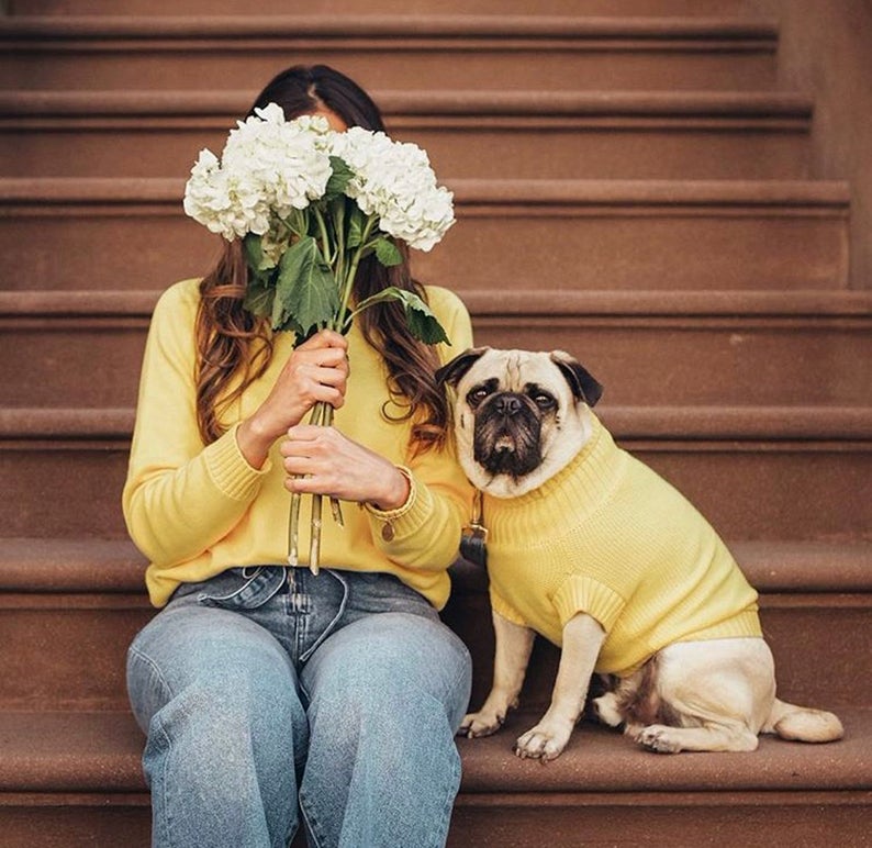 gift for pet lovers: matching sweaters for pet and human - multiple colors