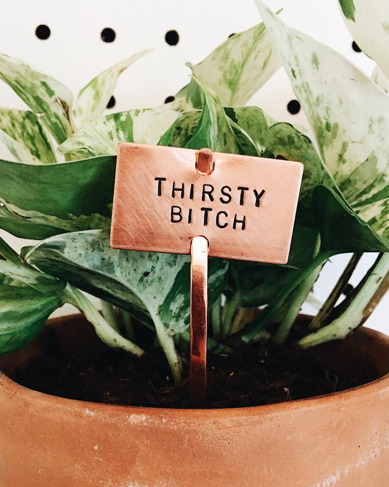 gifts for plant parents - copper plant marker - funny