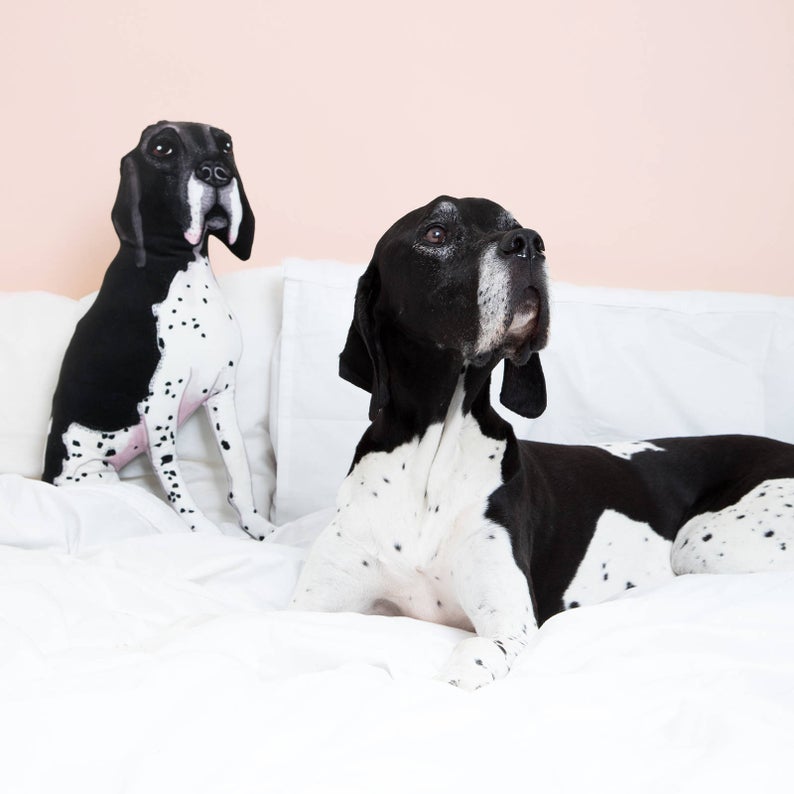 gift for pet lovers: custom pet pillow