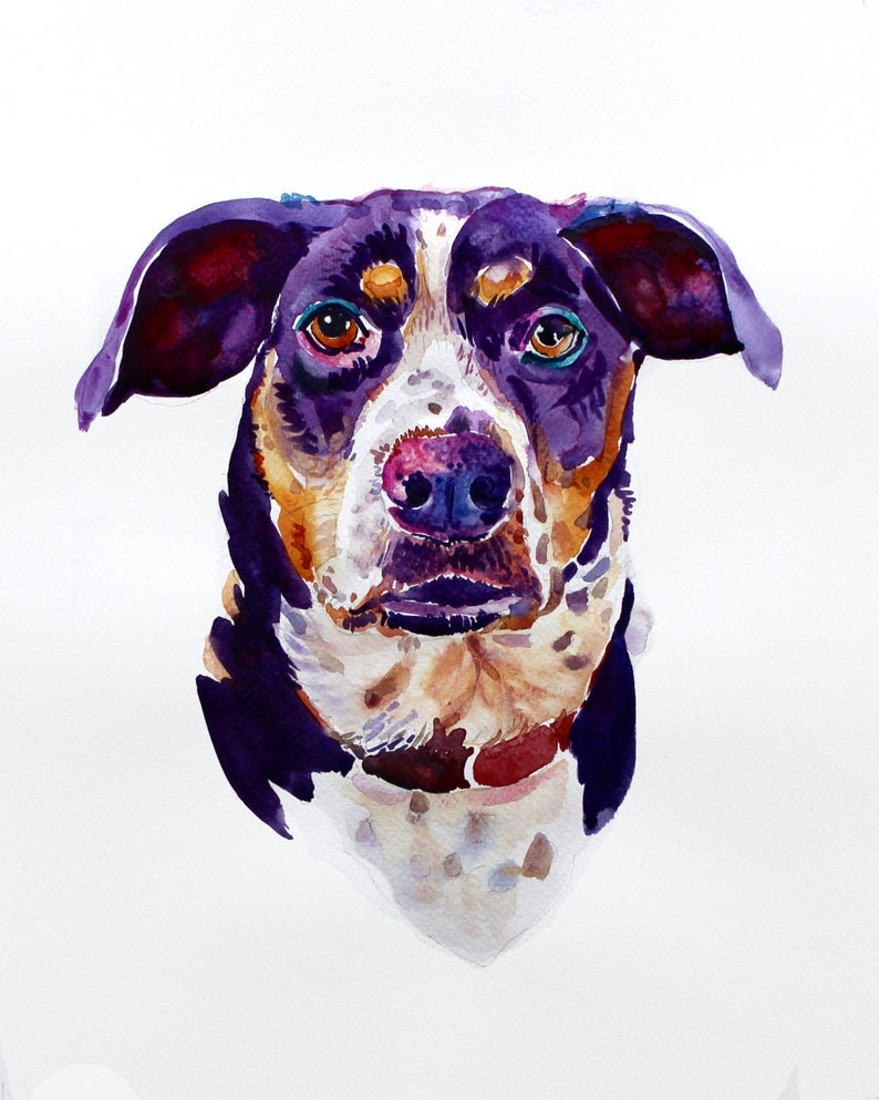 gift for pet lovers: custom pet portrait 