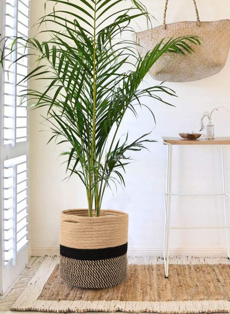 gifts for plant parents - sturdy jute rope plant basket
