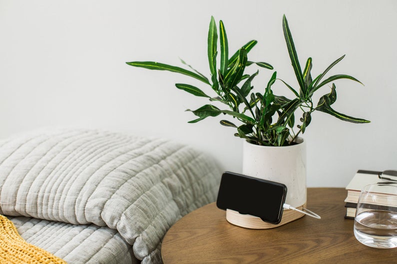 gifts for plant parents - chic planter with phone dock