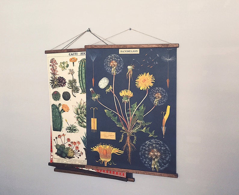 vintage dandelion botanical poster  - gift of art