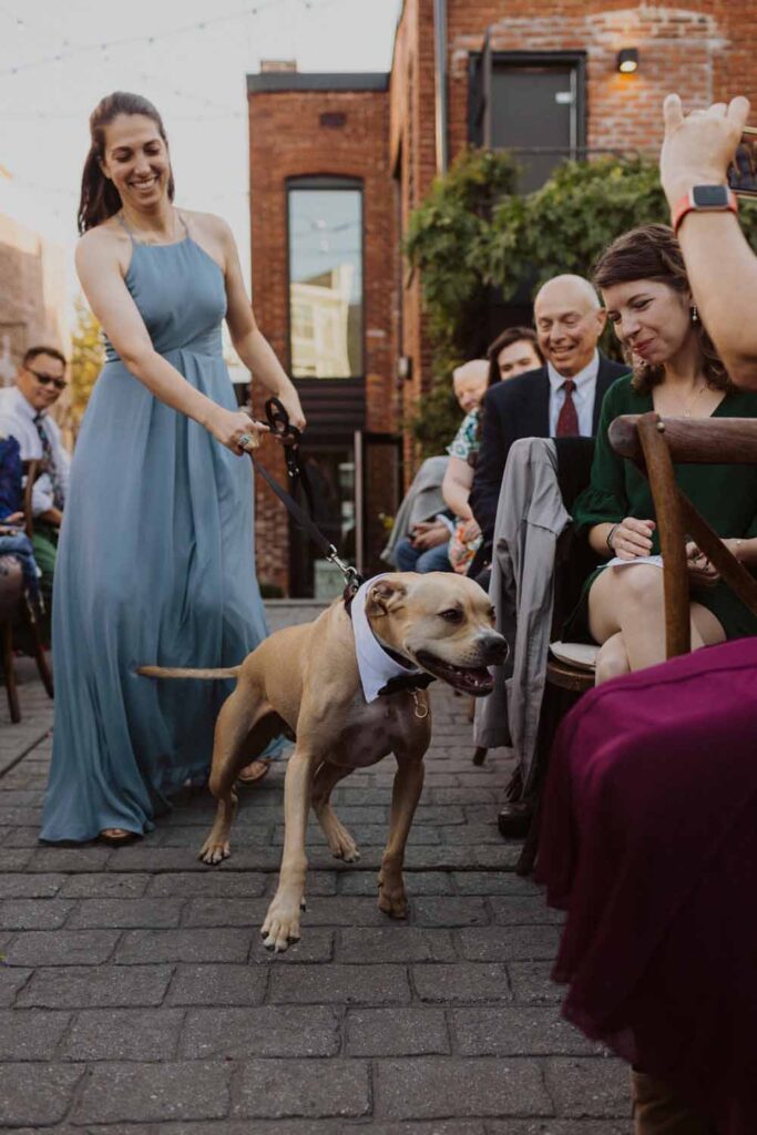 DC Art Gallery Wedding - outdoor ceremony with a dog