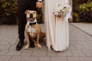 DC Art Gallery Wedding - bride and groom and dog