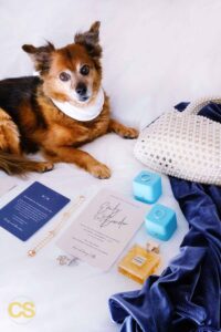 flat lay with dog The Line hotel wedding DC with dog