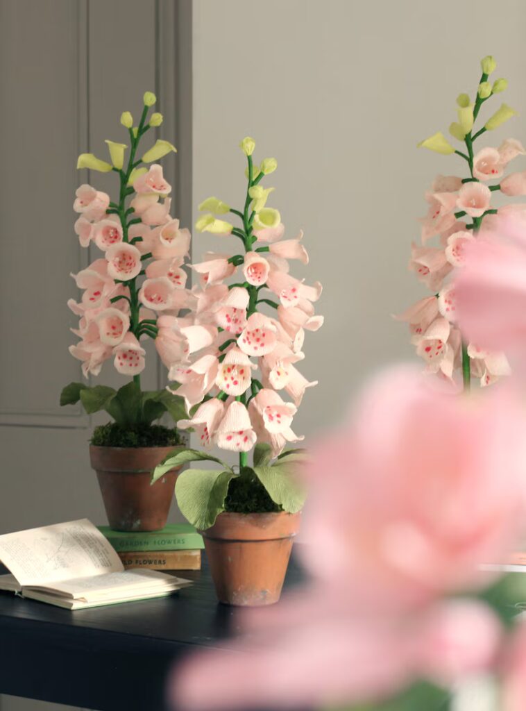potted paper flowers foxglove
